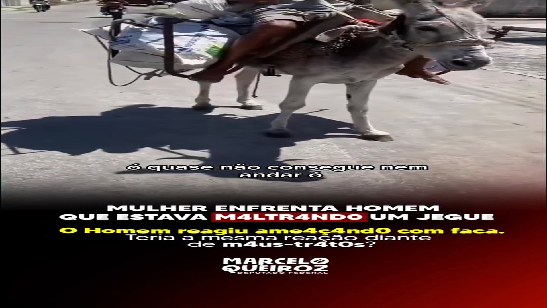 Full rescue here: T2109025_Injured Animal Finally Receives Help