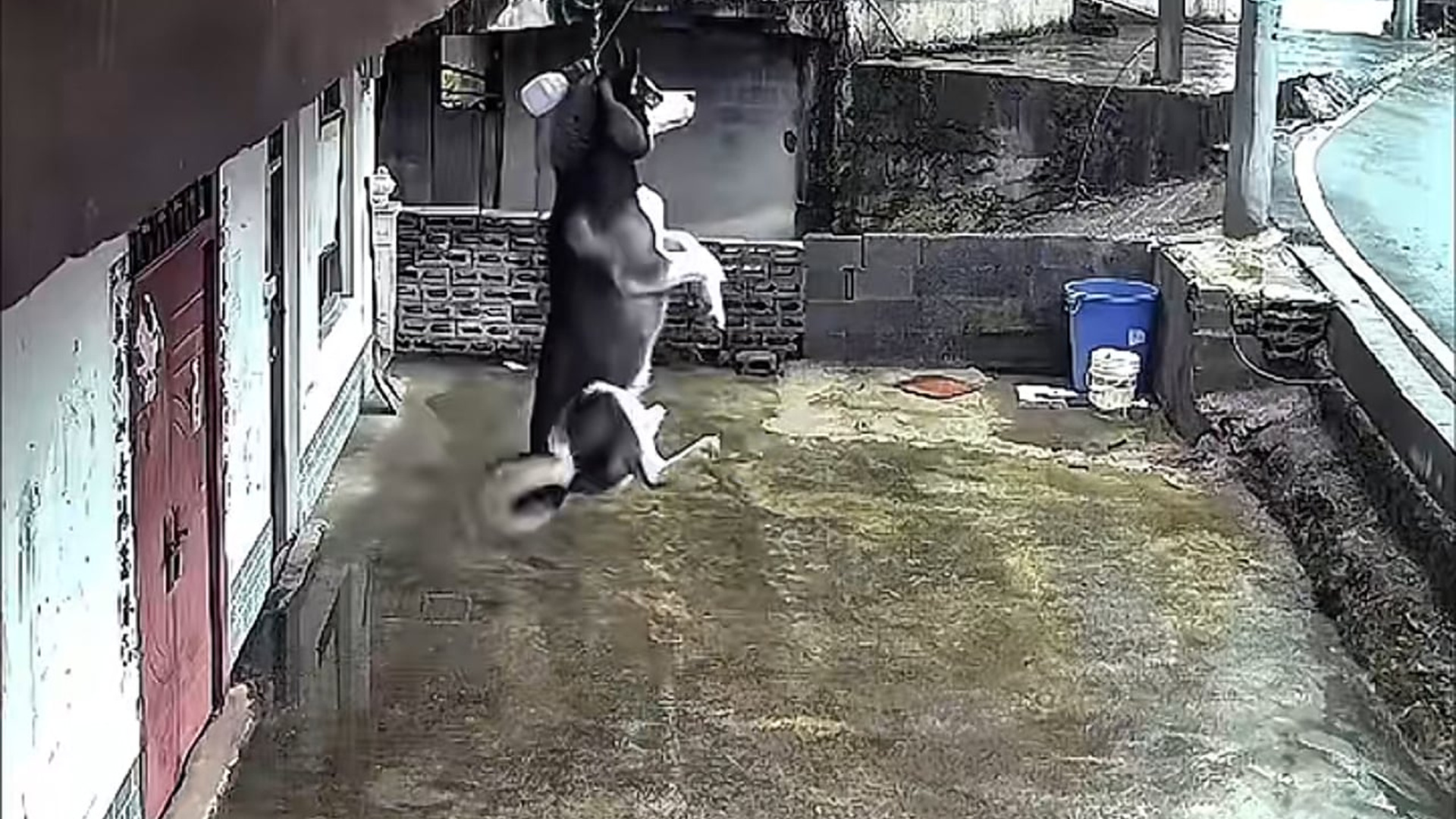Full rescue here: T2109001_Rescue Story