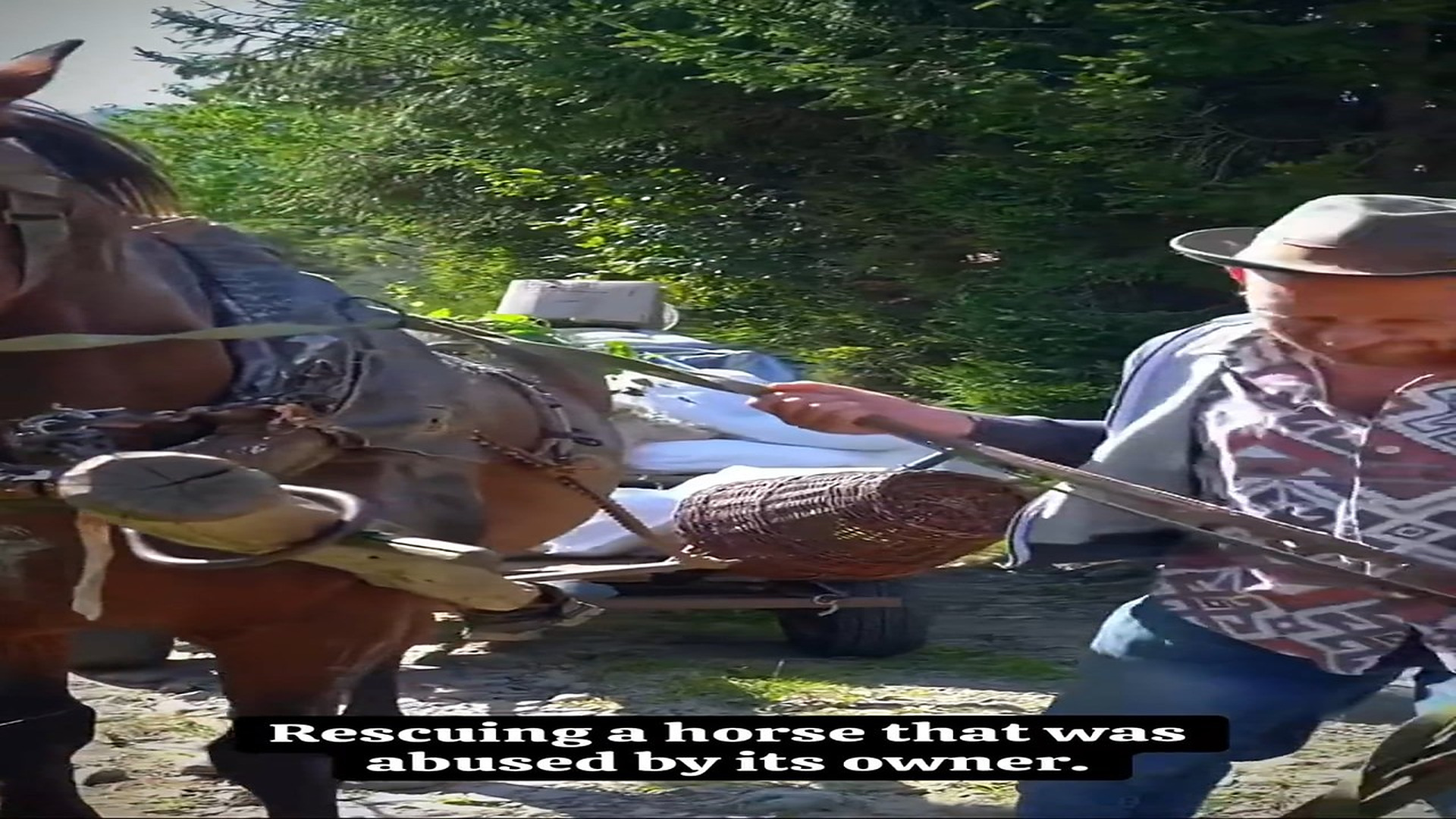 Full rescue here: T2109064_The rescue of a horse abused by its owner.”