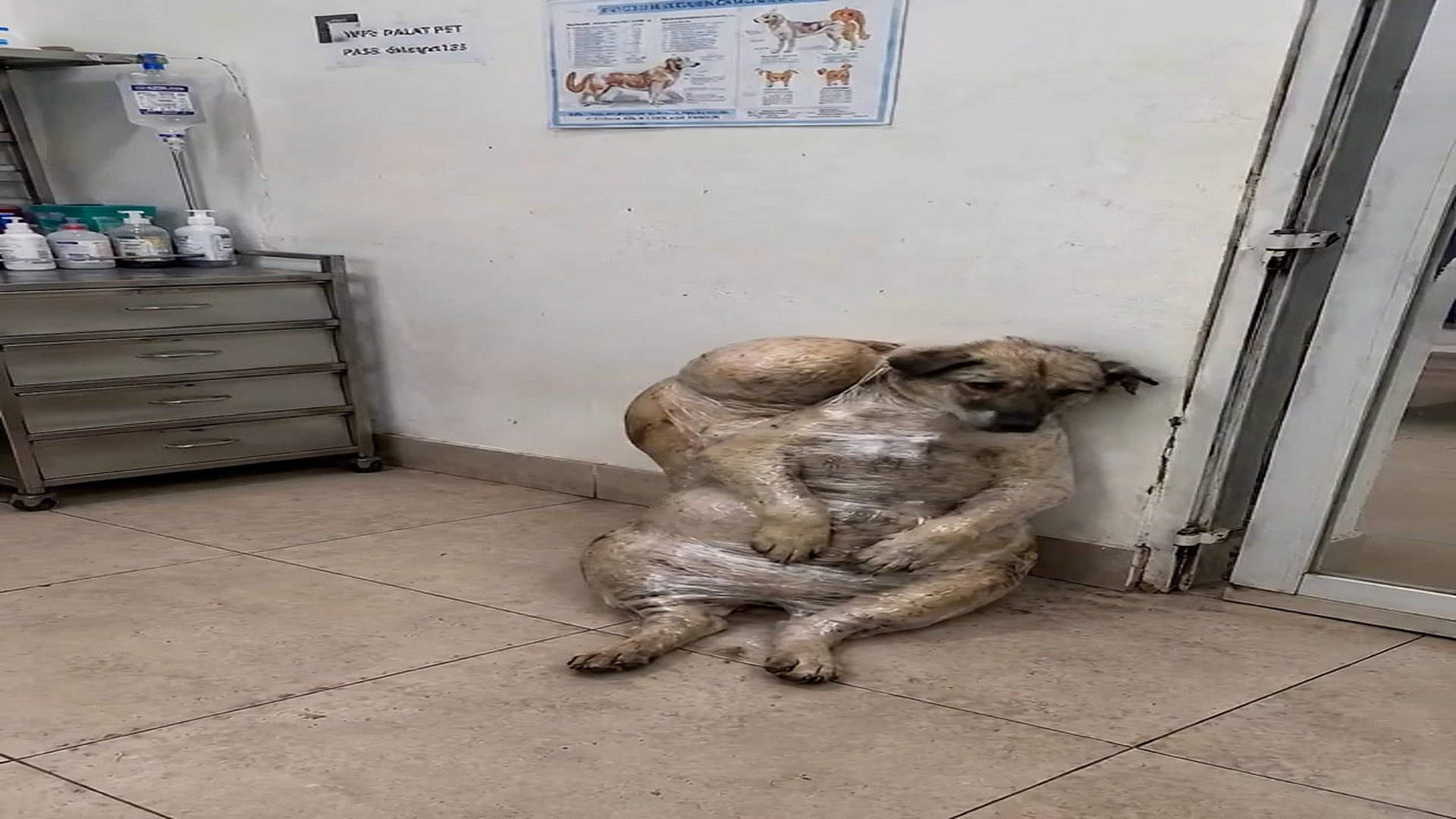 Full rescue here: T2209003 result
