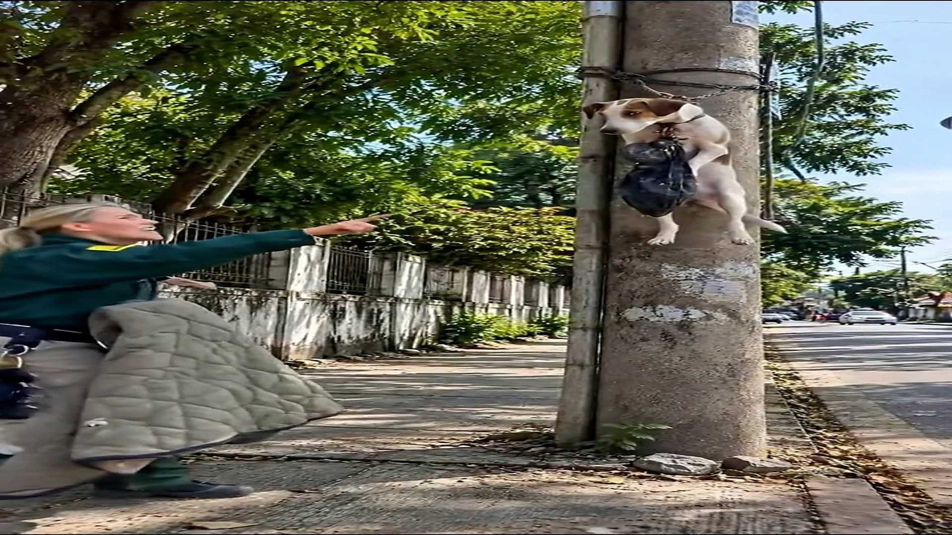 Full rescue here: T2209001 result