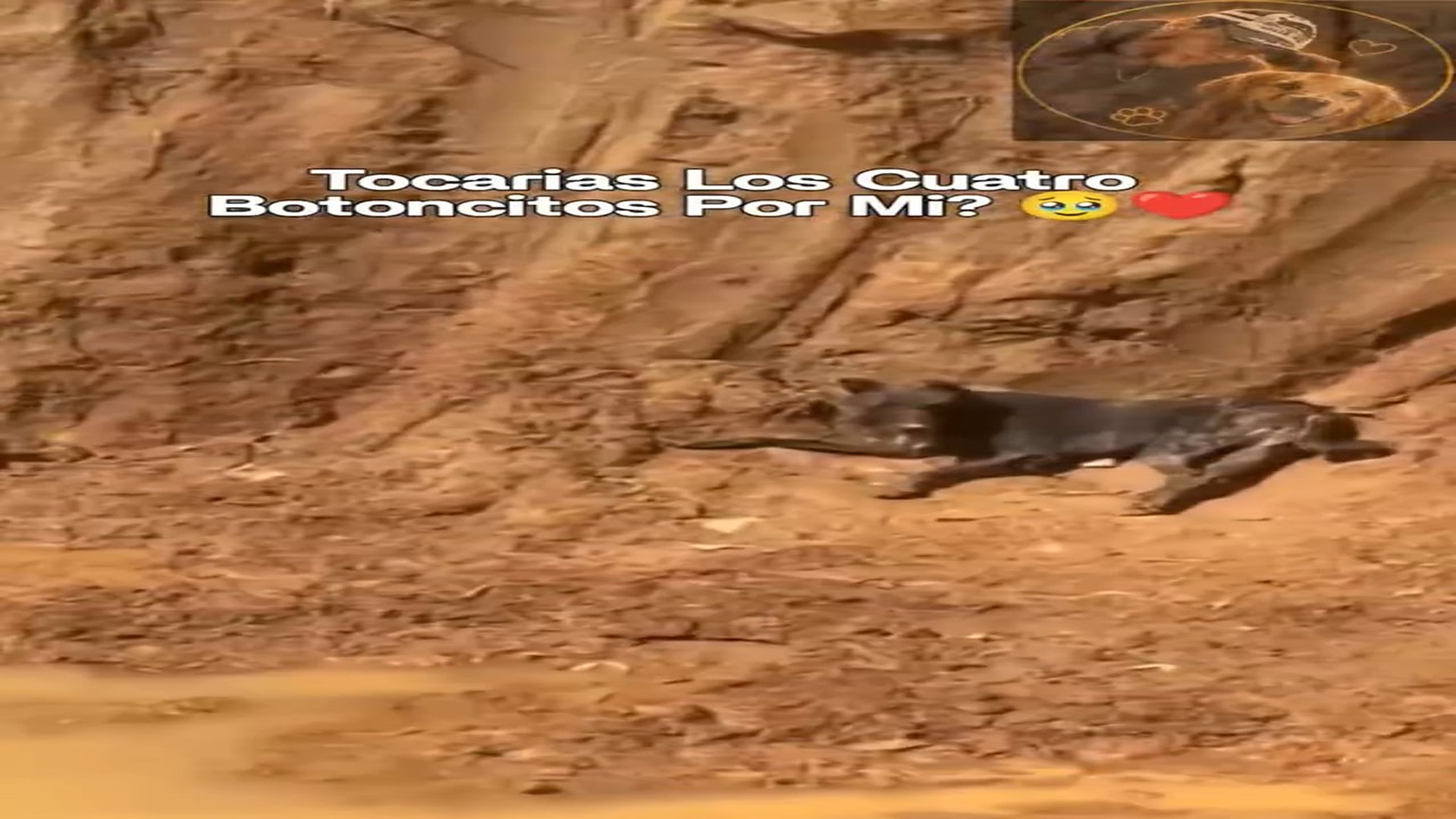 Full rescue here: T2409005_Parte 1 Miguel Gonzalez