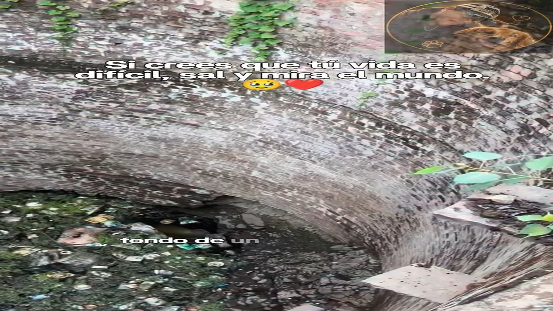 Full rescue here: T2409014_completo parte 21 Miguel Gonzalez