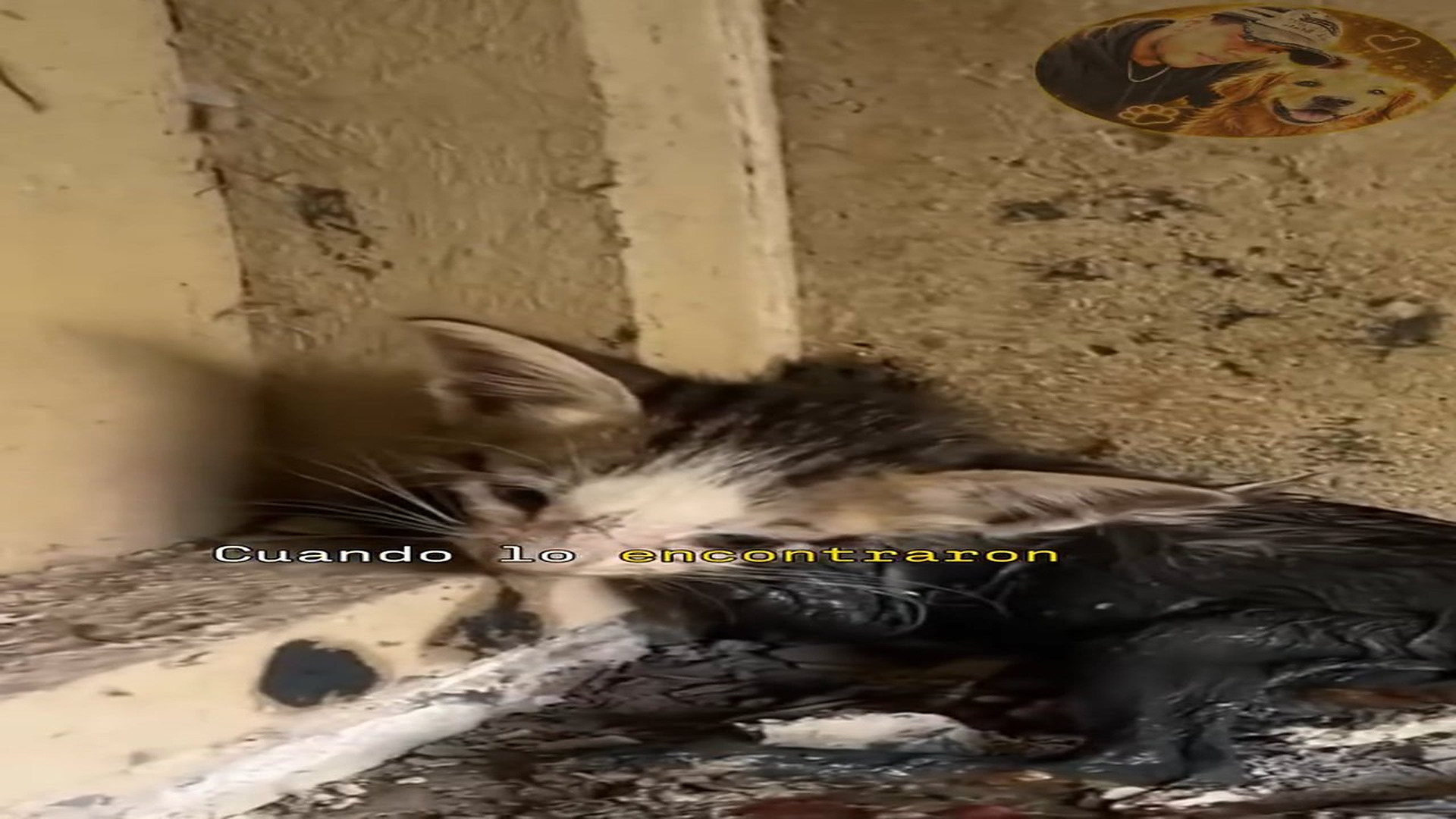Full rescue here: T2409018_completo 19 Miguel Gonzalez