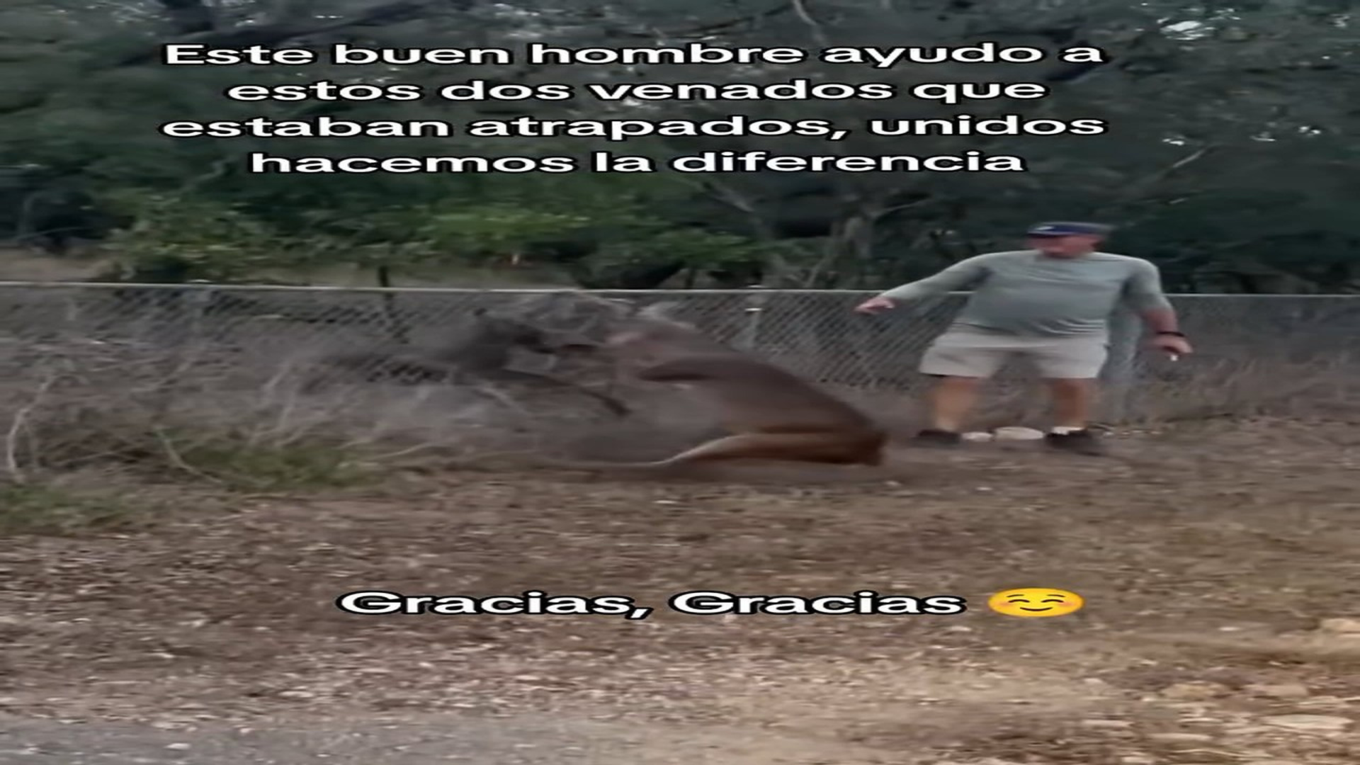 Full rescue here: T2409067_A Touching Rescue Gives This Animal New Hope