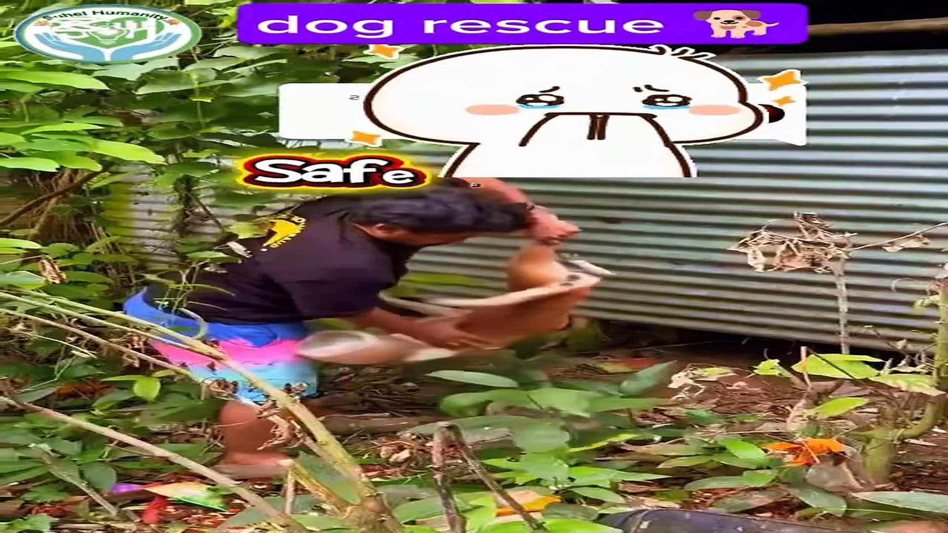 Full rescue here: T3008019_Safe Rescue Removing Hazard Head