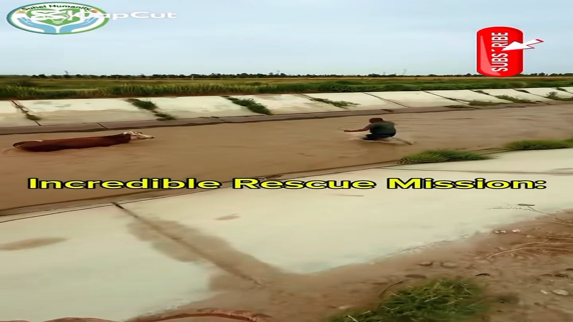 Full rescue here: T3008012_Click link in comments to watch