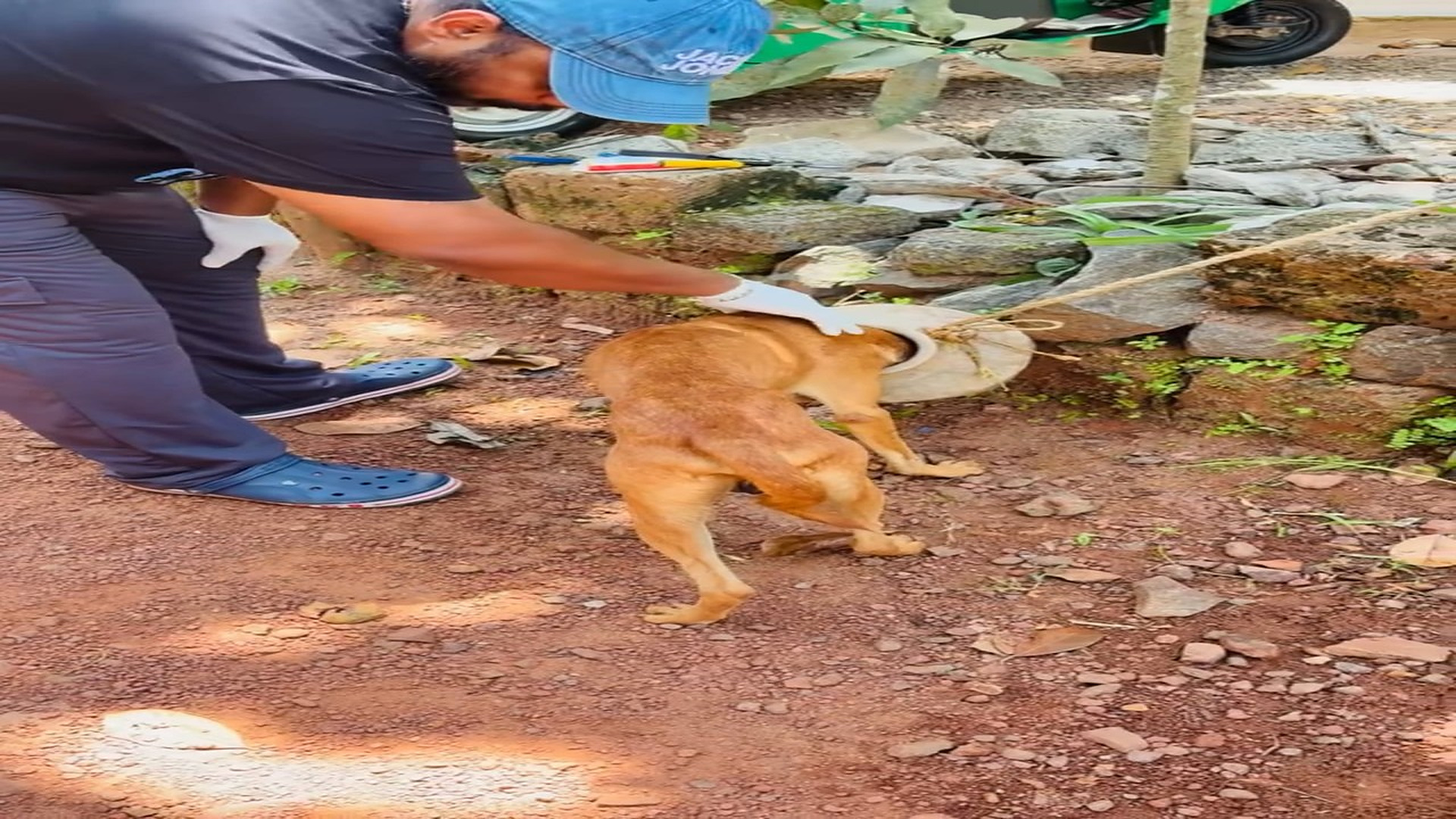 Full rescue here: T3008004_It is a leadership skill that allows the creation of creative ideas