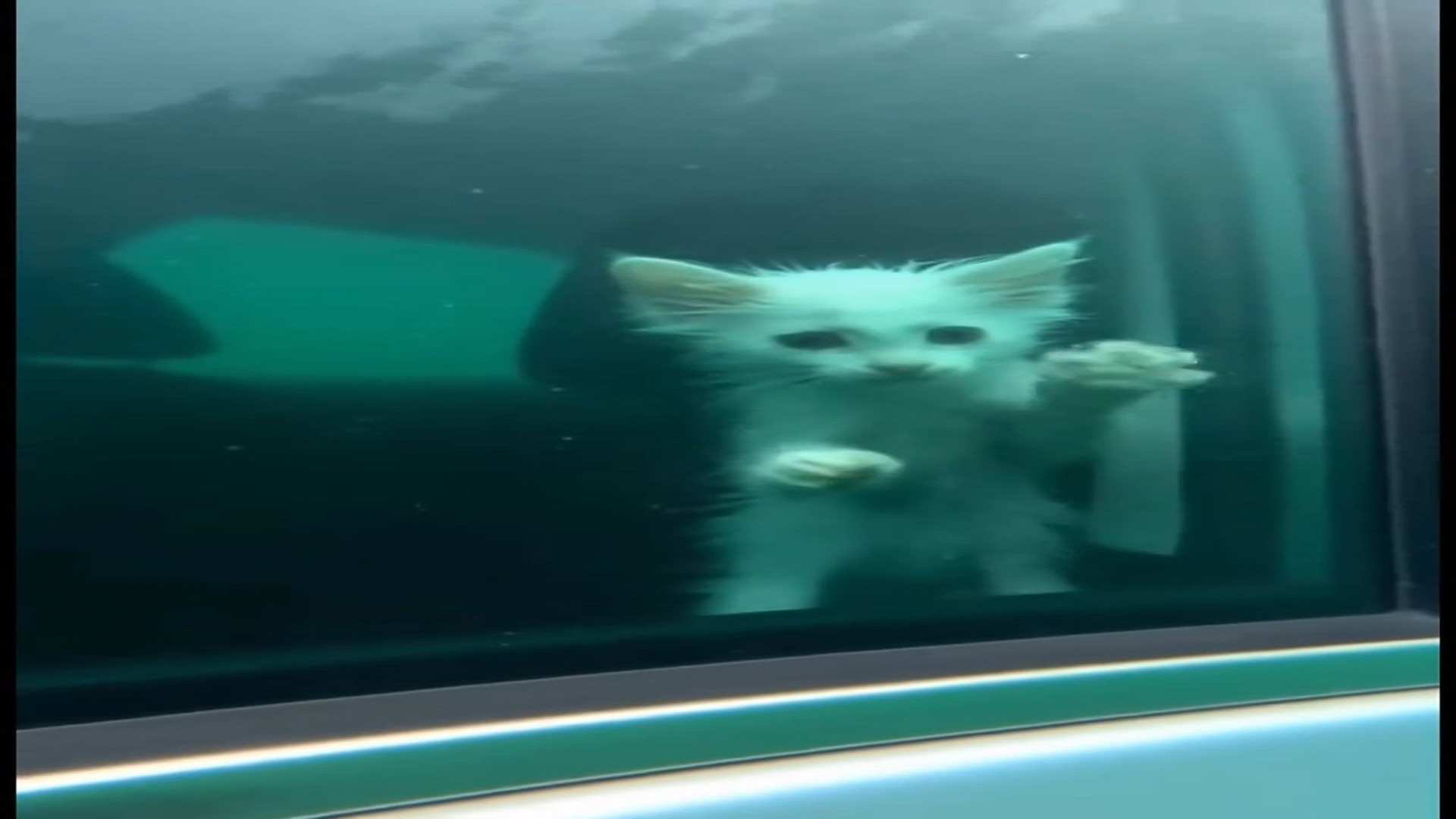 Full rescue here: T3008064_Trapped Underwater! Smashing Window to Save Him!