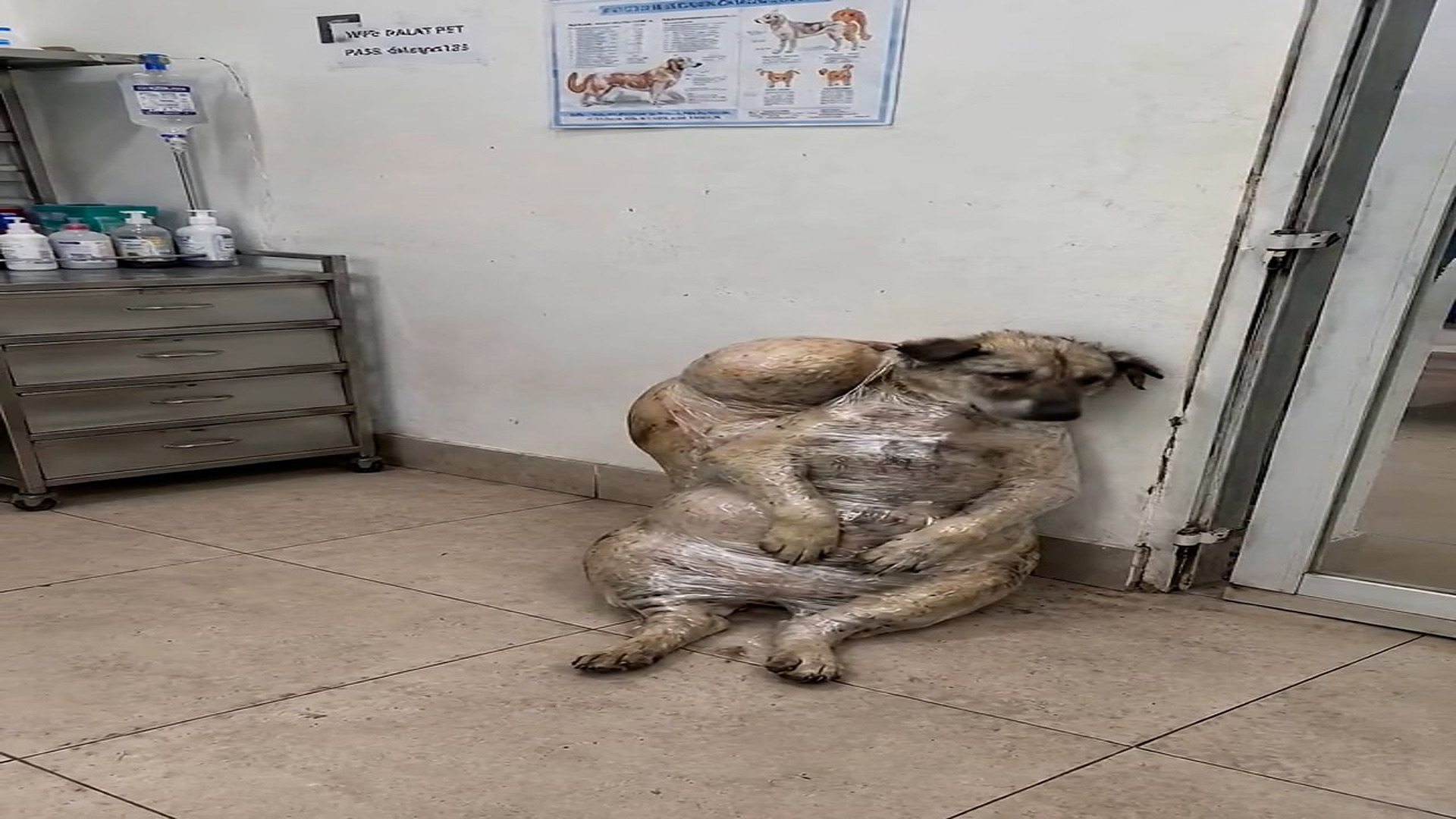 Full rescue here: T2209003 result