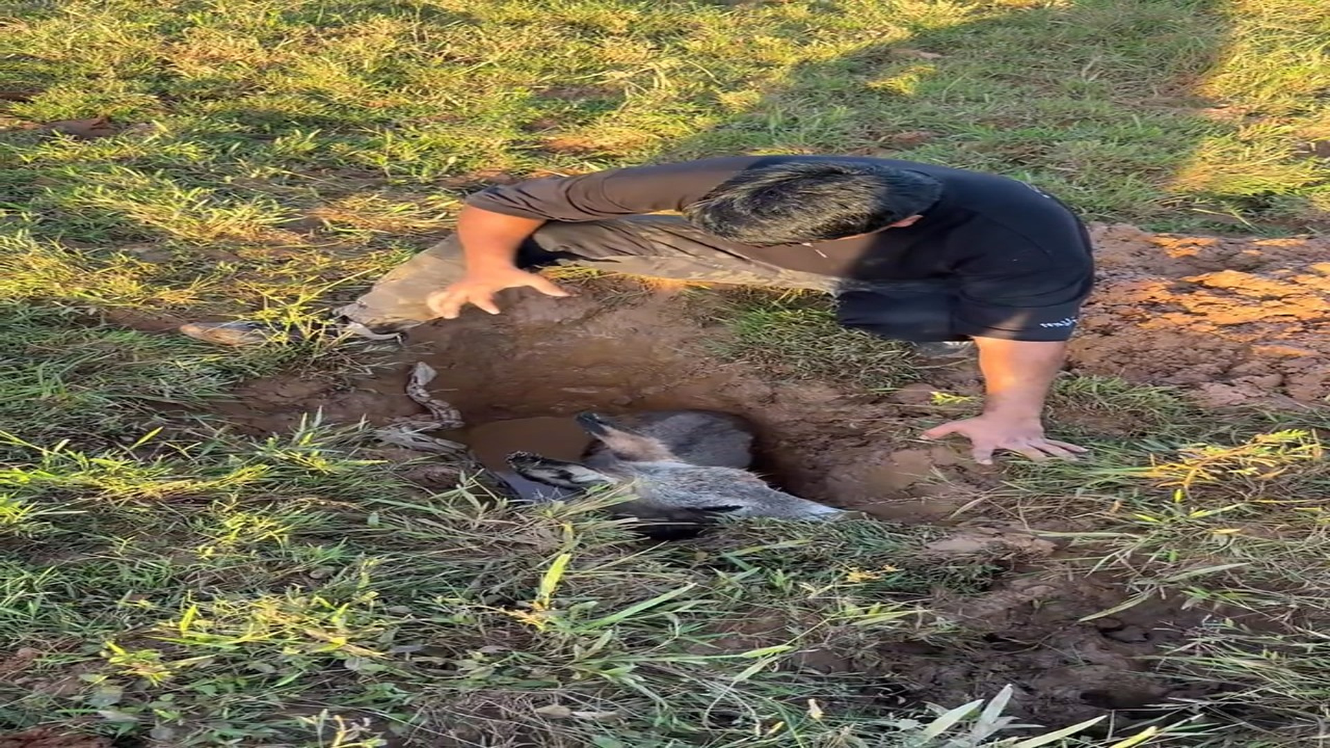 Full rescue story: T0210001_For saving his life they want to silence me forever Aury Stunt