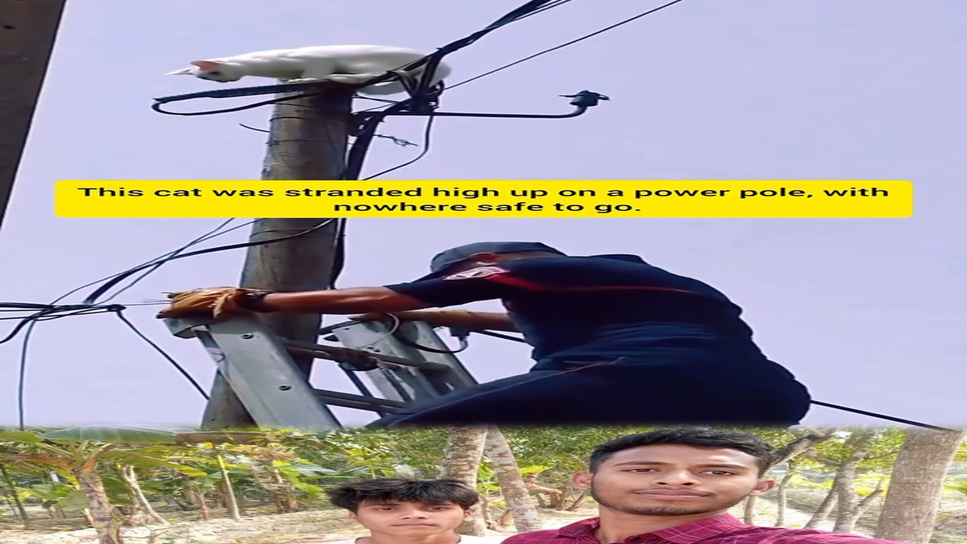 Full rescue story: T0610016_A dangerous climb to save one precious life