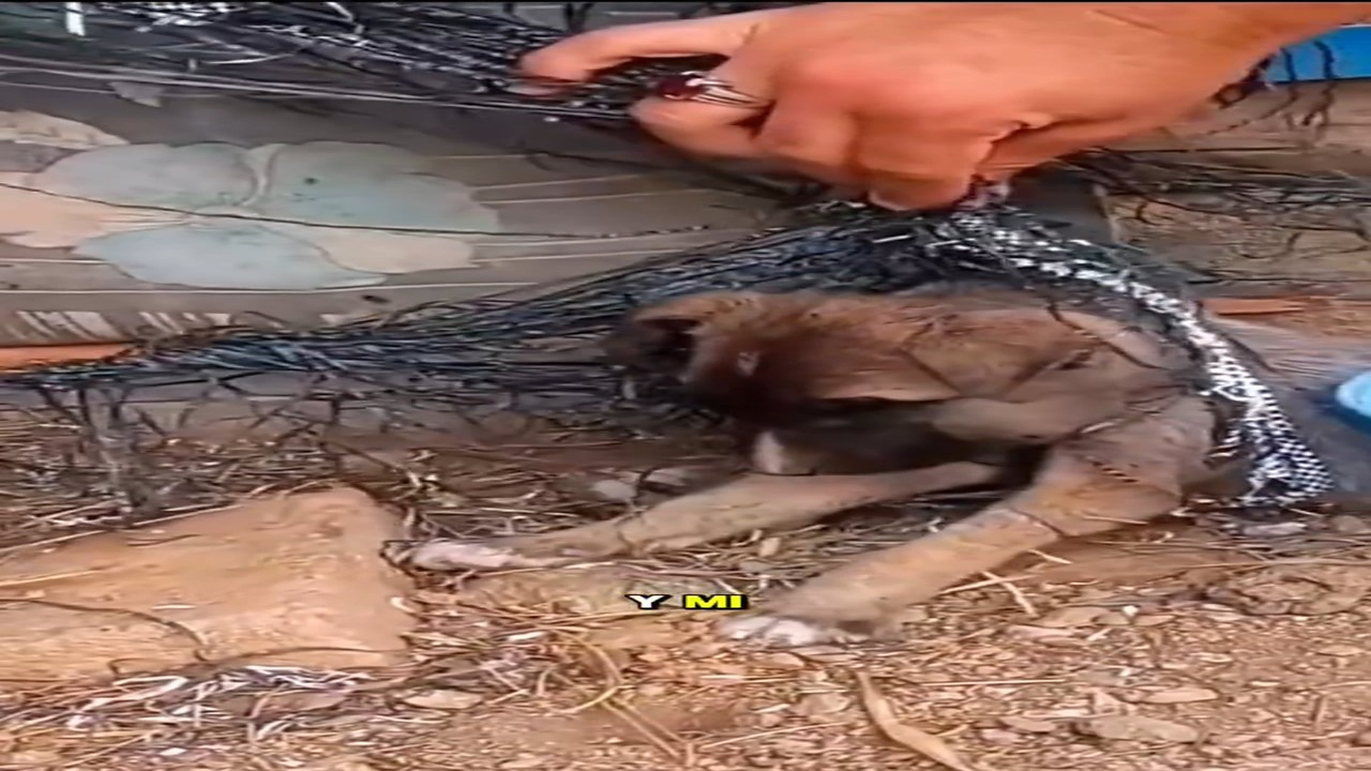 Full rescue story: T0710027_They caught me, mistreated me and then pretended to love me only