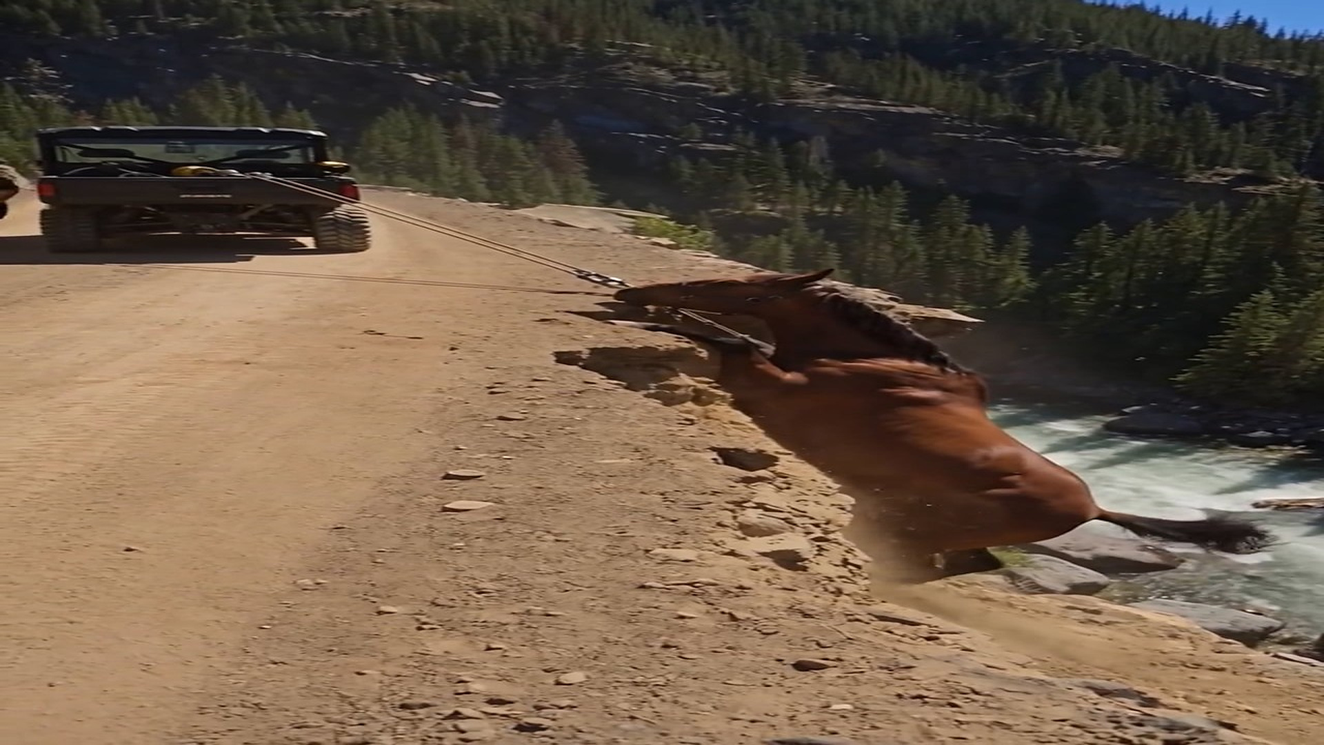 Full rescue story: T0710058_One Wrong Move Could Have Sent Horse Over Edge