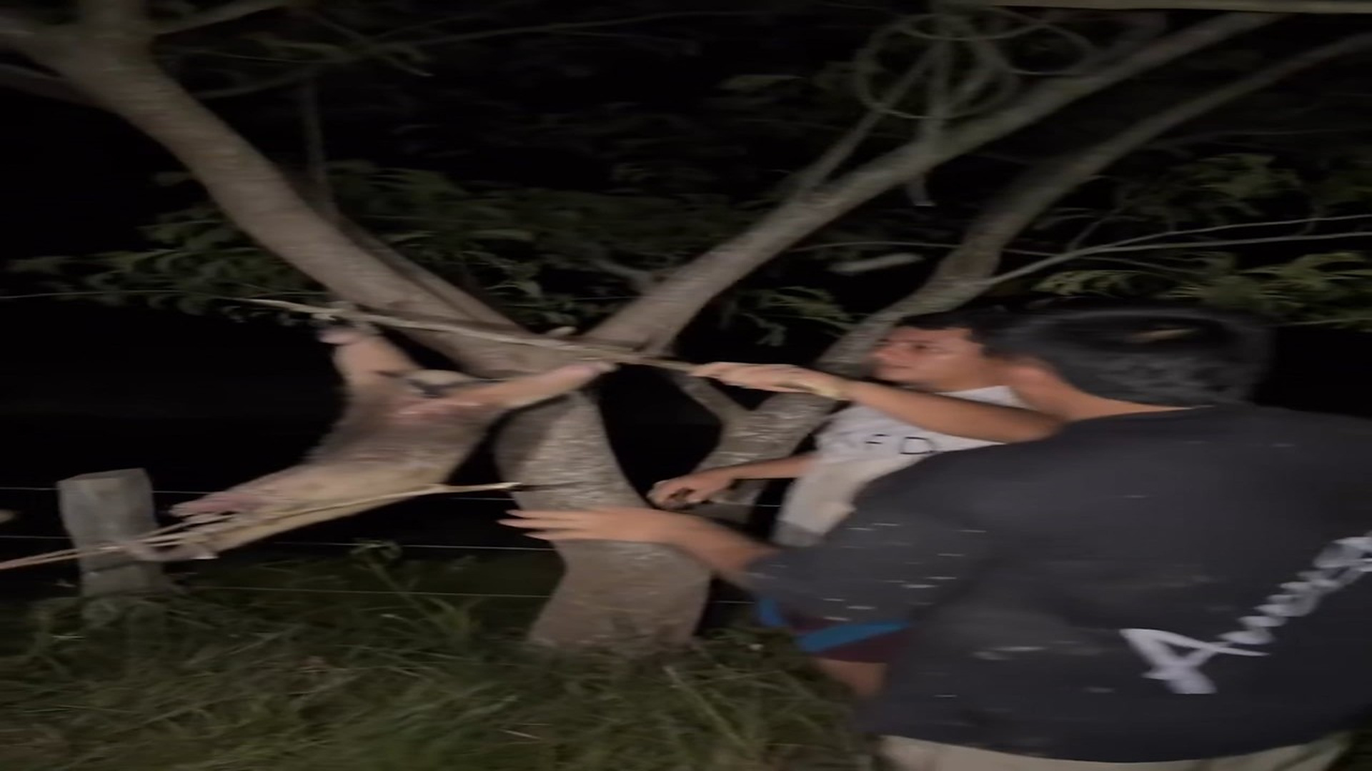 Full rescue here: T1610050_Lonely Animal Finally Meets Its Rescuers