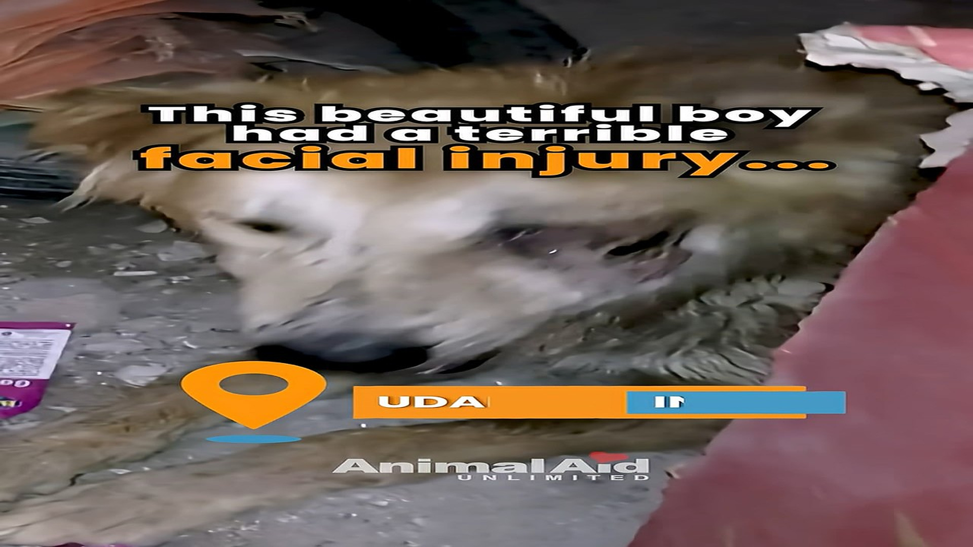 Full rescue here: T1610046_Could we save his eye