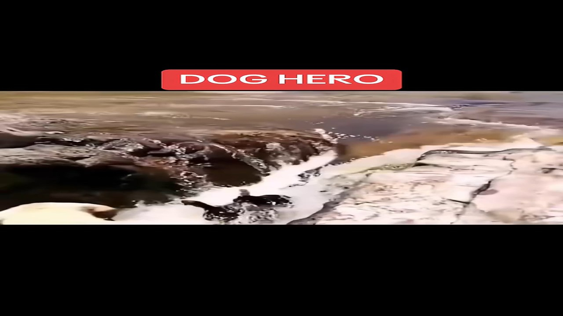 Full rescue here: T2010004_All heroes wear fur (via unknown) Ayli