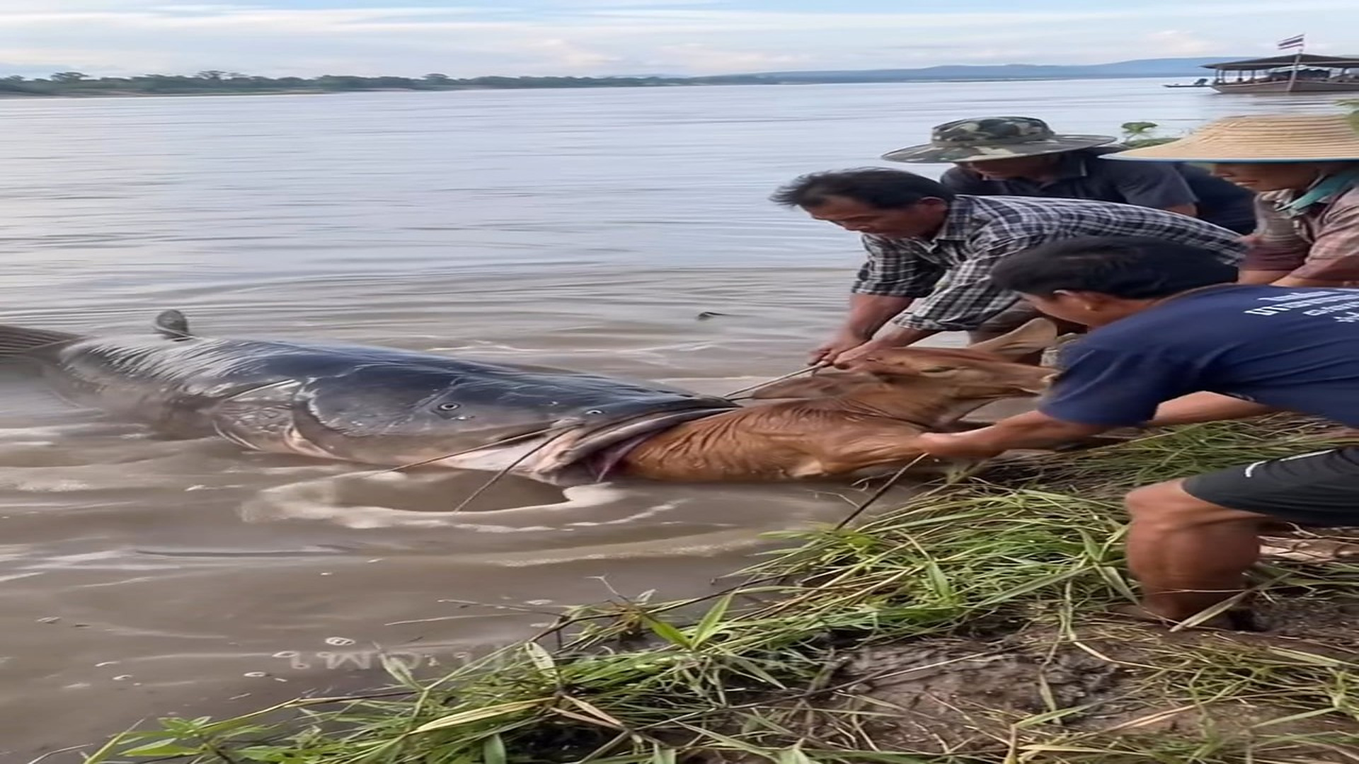 Full rescue here: T2310002_Sad! Plab Kaeo Kaeng Bok Kwok villagers Mekong Ache Aok
