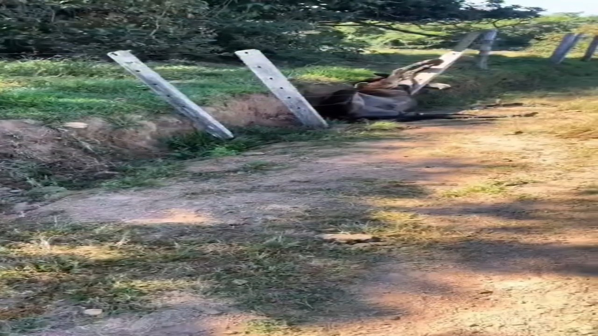 Full rescue here: T2310018_Rescue trapped dog
