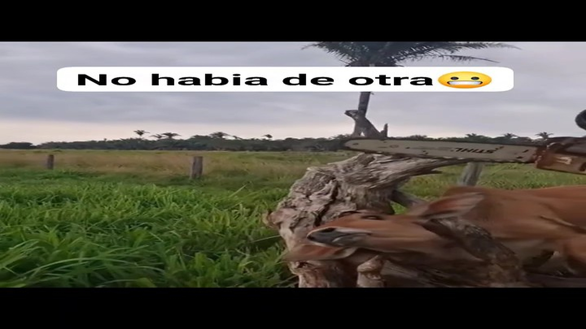 Full rescue story: T2510004_There were no more options Brayan Agud