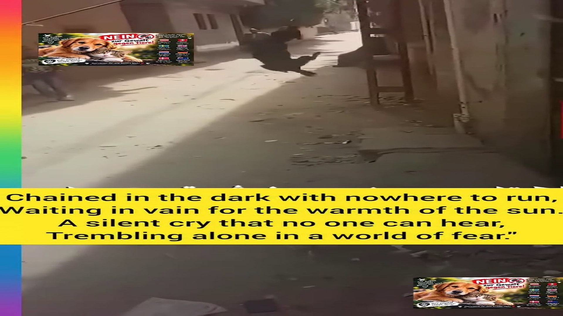 Full story here: T2810009_Chained in dark nowhere to run, Waiting in vain warmt