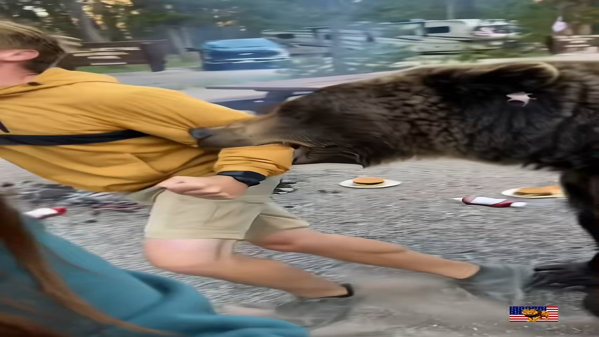 Full rescue story: T3110021_A grizzly mom stormed his BBQ… then he saw why ��