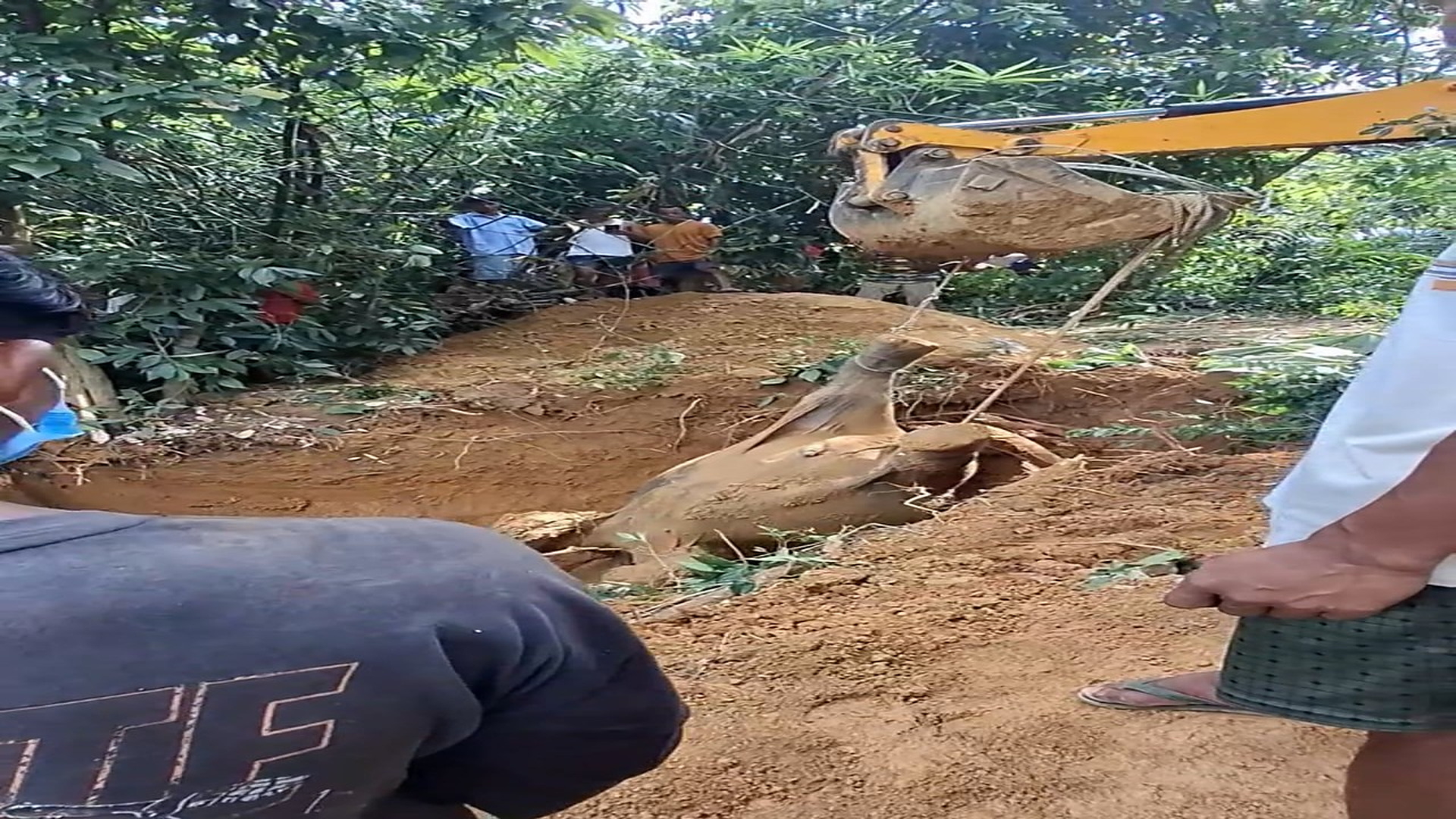 Full rescue story: T3110011_Chiakolo Ga.ake sijok Rikseng B Marak
