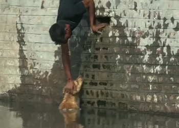 Full rescue story: T0610030_Helping Hand